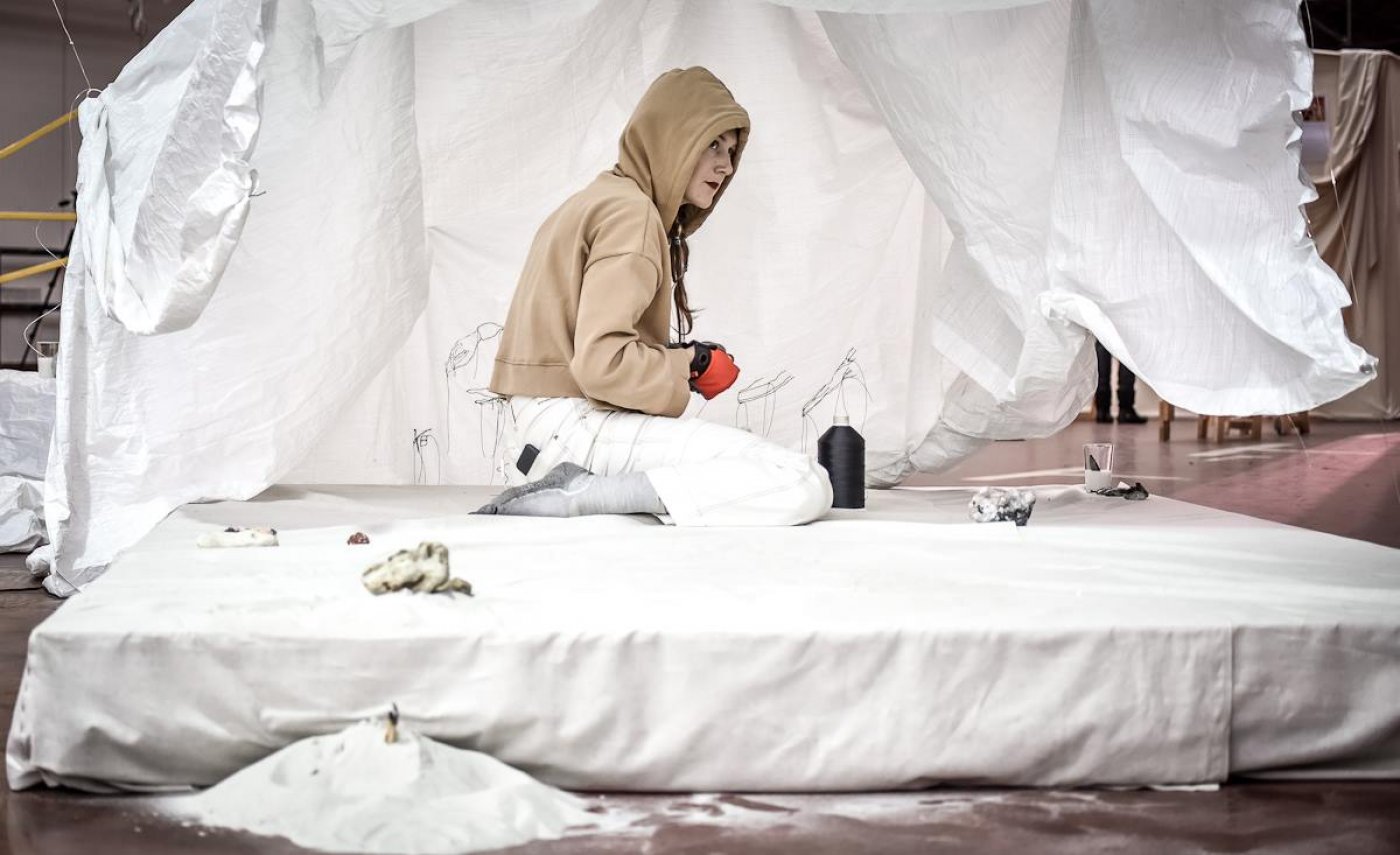 1148_Ancestral Ca2+.jpg